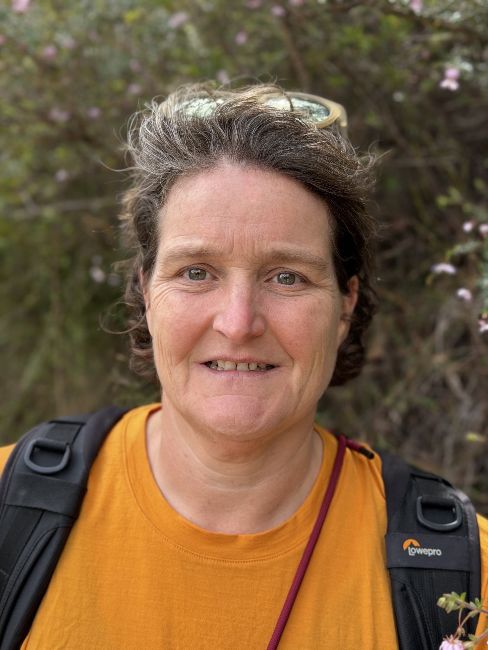 Sonja Hille